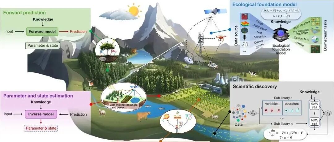 特邀综述丨GLOBAL CHANGE BIOL：知识引导的机器学习在全球变化生态学研究中的应用