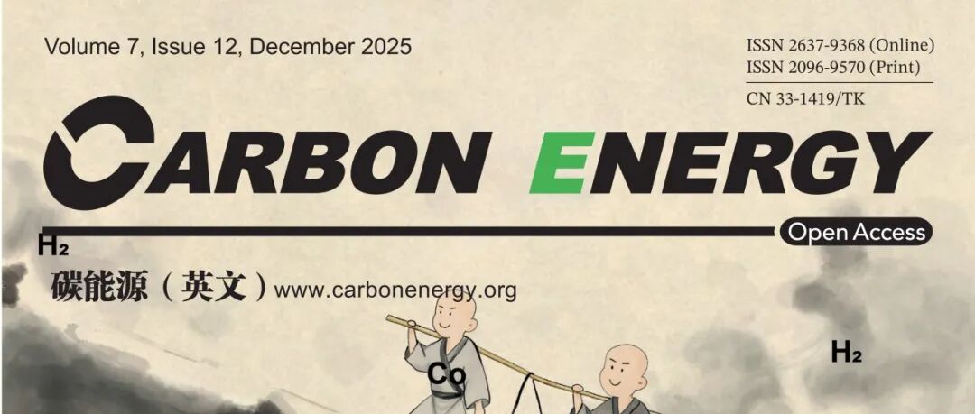 海南大学王同洲&李纪红&澳门大学邵怀宇Carbon Energy：界面Ru\u2212O\u2212W耦合增强酸性OER