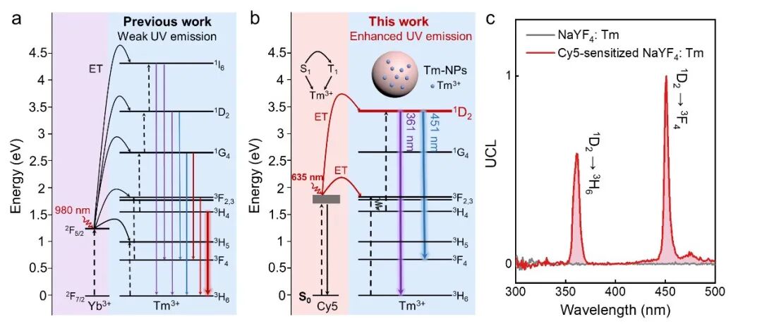 复旦大学Angewandte Chemie International Edition：能级选择性染料敏化实现紫外上转换发射增强