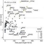 【前沿进展】Genome Biol. | Andrew P. Hutchins 团队发现转座元件为三维基因组结构的关键决定因素