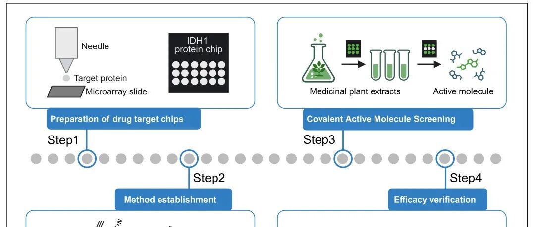 iMeta | 中国中医科学院杨洪军-陈鹏组开发药用植物提取物中共价结合分子筛选新技术