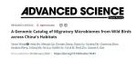 省青B+第一兼通讯IF5y=15.6：河南农大王亚楠教授在《Adv Sci》发布中国跨境迁徙候鸟微生物基因组和基因目录，解码耐药与微生物“暗物质”