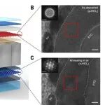 武汉大学最新Science