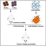 Cell Stem Cell | 王金勇团队开发CAR\u2011iNK祖细胞疗法，有效治疗白血病且防复发