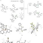 四川大学卢伟课题组 JACS：中性含硼-硼不饱和键的杂累积多烯