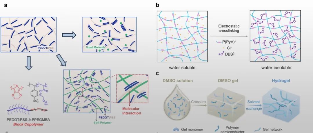 北大雷霆-张志团队 AFM 综述：生物相容性共轭聚合物