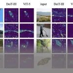 不换框架也能刷新上限！ViT-5：全面升级视觉骨干，ImageNet86.0%刷新纪录
