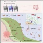 Cancer Cell | 真菌与细菌的"邪恶联盟"，上海交通大学房静远等揭示肠道微生物的“”跨界合作“”，白色念珠菌协助具核梭杆菌的促癌作用