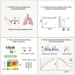 Med | 循环Temra细胞的"分子指纹"，同济大学陈昶等利用机器学习模型解锁其预测免疫治疗响应的潜力