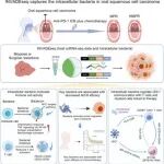 Cell子刊 | 免疫治疗的“双刃剑”！深圳职业技术大学徐磊等团队发现口腔癌细胞内的细菌既能激活巨噬细胞，又会抑制T细胞功能