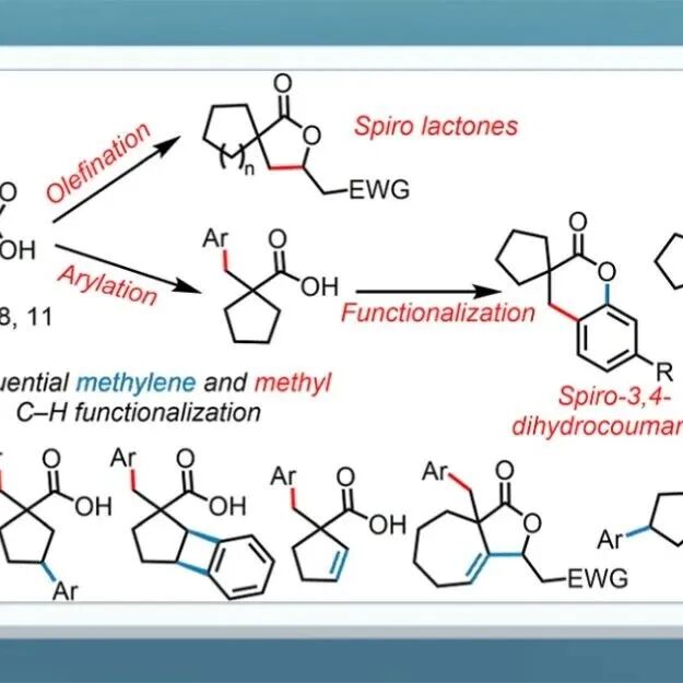 【JACS】余金权团队：环状脂肪酸的甲基β\u2011C(sp\u00B3)\u2212H官能团化制备螺环碳环化合物