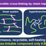 浙工大徐立新/叶会见课题组 Macromolecules：通过链形态设计高效制备高性能可回收胶粘剂