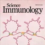 Sci Immunol | 封面！为何树突状细胞是“免疫哨兵”？染色质三维结构是其分化与激活的关键总控