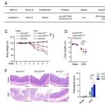 PNAS | 锁定克罗恩病“罪魁”之一！山东大学高成江/刘峰发现RNF123基因突变如何解除免疫刹车，引爆过度炎症