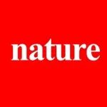 李玉良院士领衔！吉林大学薛玉瑞最新Nature子刊 | 自高自旋过渡金属原子驱动酸性析氧反应！