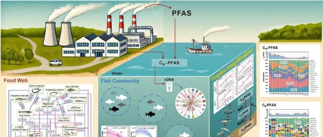 PFAS替代品更安全？eDNA揭示：河口鱼类多样性正在下滑