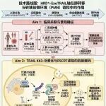 2026年国自然精美的技术路线图模板鉴赏