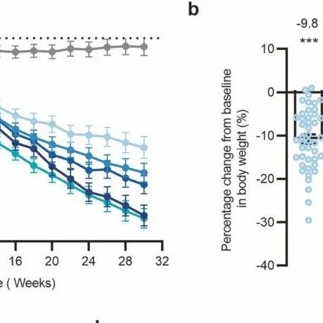 IF=53!北京大学纪立农团队发布国产博凡格鲁肽 2b 期研究:减重效果显著,耐受性良好