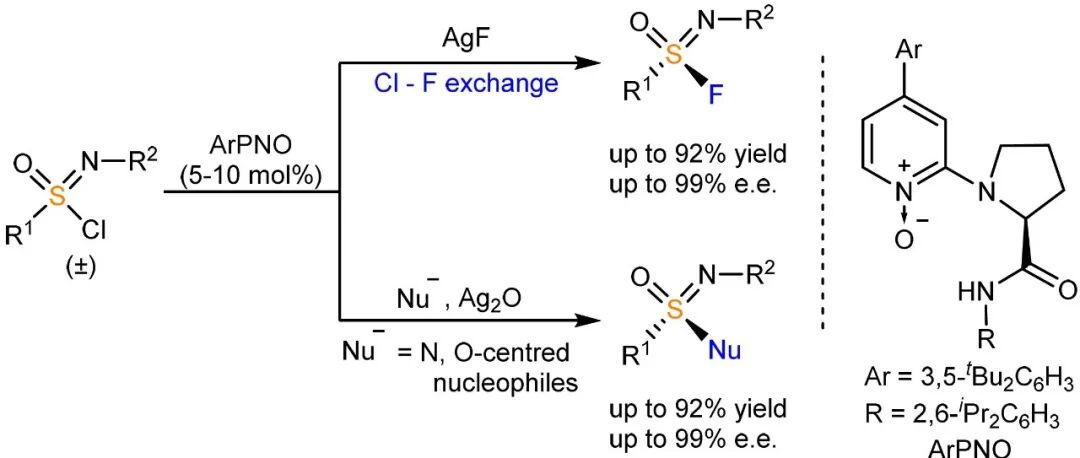 Nature Chemistry：河南师大郭海明教授团队在硫中心不对称氯氟交换反应方面取得新进展