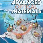 湖南大学潘安练/陈舒拉团队AOM：等离激元动力学研究，全新实验路径！