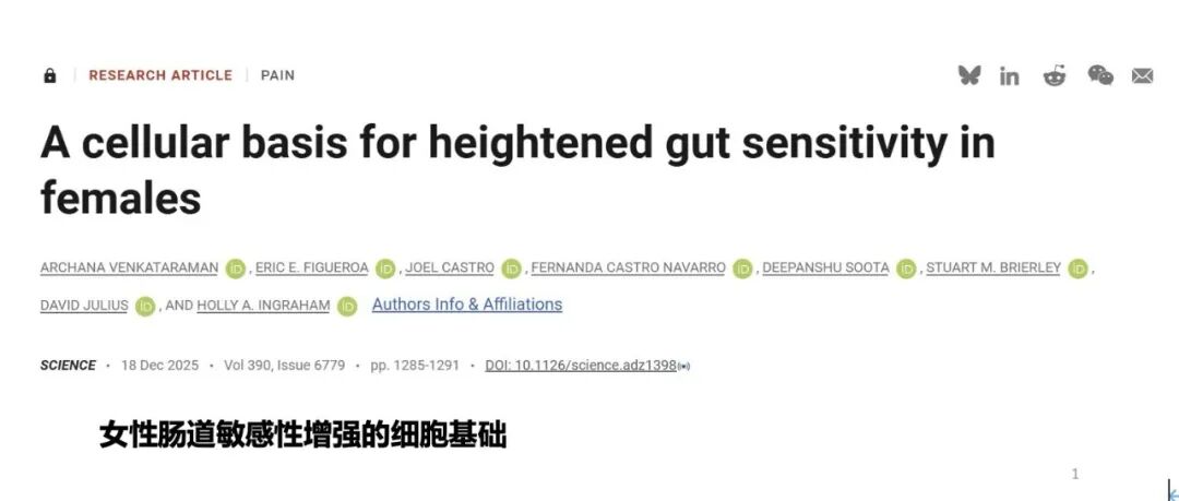 Science丨女性肠道敏感性增强的细胞基础