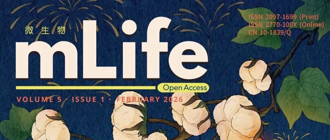 mLife 第五卷第一期正式出版