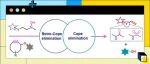 【JACS】苏州大学季兴跃教授：一种串联的 Retro-Cope 消除和 Cope 消除反应用于活细胞中丙烯酰胺与乙烯基磺酰胺弹头共价抑制剂的激活