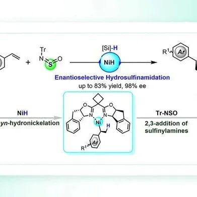 JACS：华南理工张珉课题组NiH催化芳基烯烃的区域、对映选择性氢亚磺酰胺化