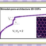 吉林大学陈彩玲JACS：二维COF材料结构复杂性研究取得新进展