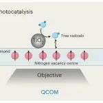 浙江大学冯建东团队：量子传感-化学反应自由基原位成像 | Nature Catalysis