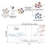 JECCR |\u00A0北京大学曾泽贤/罗春雄团队合作揭示芳烃受体AHR及ARNT调控癌细胞表面HLA-II的表达