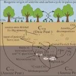 Geology | 代世峰团队：煤中产甲烷作用与菱铁矿沉淀：碳封存的意义