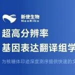 多物种超高分辨率翻译组Ribo-seq技术