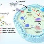 【JACS】中山大学/暨南大学巢晖教授团队：二维铱(III)-氮化碳纳米配合物，开创乏氧黑色素瘤化疗/声动力协同免疫治疗新范式