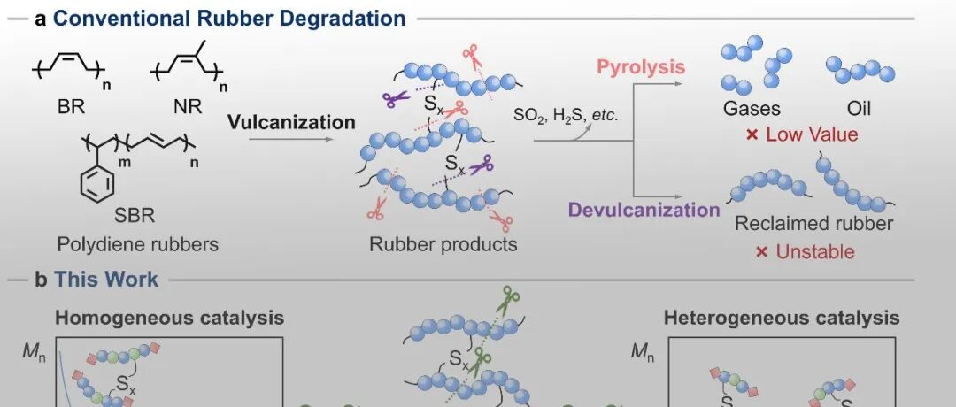 北化曹鹏飞/王腾/田明/张立群 JACS：橡胶制品的升级化学回收