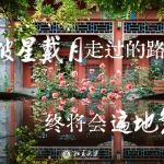 北京大学/西北工业大学：镍原子晶格分离-天然气高效益产氢 | Advanced Materials