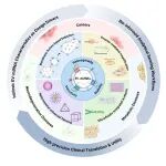Talanta｜东南大学张宇、马明教授团队综述：细胞外囊泡来源miRNAs—分子机制、检测方法及临床应用