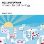 Nat Rev Mol Cell Biol封面综述\u00A0|\u00A0王红梅团队总结干细胞胚胎模型进展及在发育生物学和生物医学研究中的应用