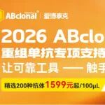抗体选择的“潜规则”：师兄师姐没明说，但你一定要懂