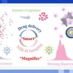【JACS】哈工大陈冠英课题组最新发表：双相近红外光子转换稀土掺杂MOF复合材料实现肿瘤响应性诊疗结合