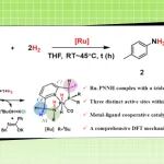 【JOC】南京工业大学赵莉莉课题组：Ru-PNNH催化酰胺氢化的三活性位点协同机制的DFT解析