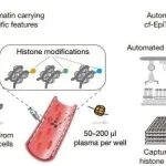 Nature | 血液中的"细胞指纹"，北京大学何爱彬等开发新一代表观液体活检平台