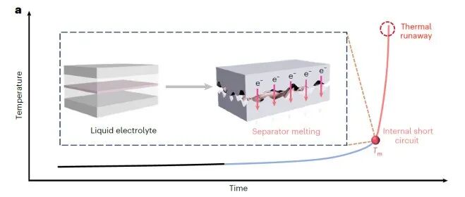 武汉理工大学Nature Energy：尤雅教授团队在温度响应性电解液方面发表最新研究成果