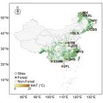 【Global Change Biology】沈阳生态所在森林土壤微生物碳氮利用效率温度敏感性研究方面取得进展
