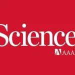 Science：人工构建睾丸！