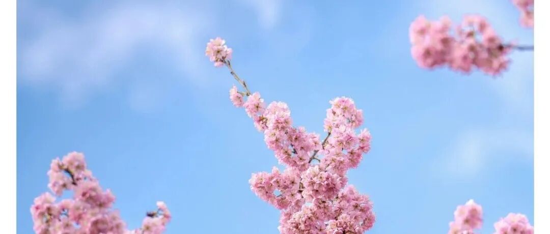 政协委员：希望能给科研人员基本的体面
