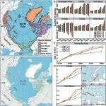 National Science Review｜我刊编委王伟团队等预测了北极植物群未来气候变化背景下的演变趋势