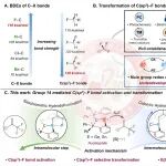 四川大学董召文/曾小明团队JACS：锗/锡变价催化体系实现C(sp3)\u2212F键的选择性活化与转化