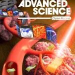 中国科学院理论物理研究所王延颋AS：固-固相变动力学路径，新进展！