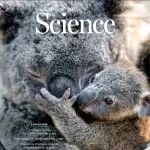 数量先于多样性：《Science》封面研究颠覆遗传学认知，证明种群快速增长是遗传健康的最佳引擎